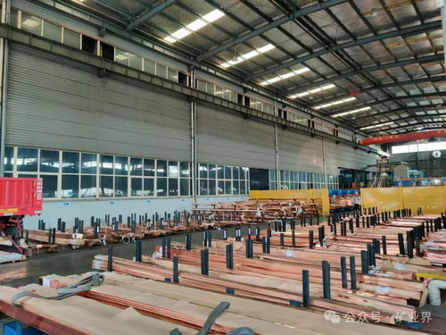 看不懂 的铜价终于回调 后市怎么走