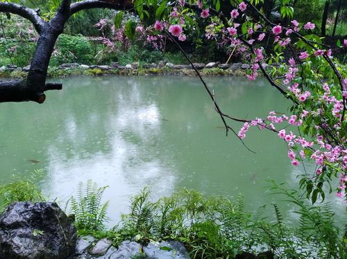 [转载]鹧鸪天·桃花源记