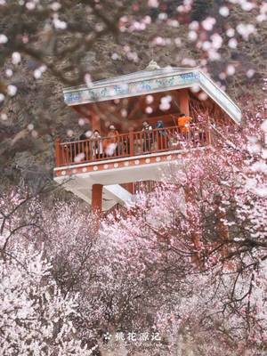 2019林芝桃花节,全国援藏展览馆开馆!还有这么多精彩活动不容错过!