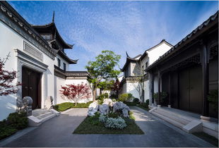 被假冒万岁 被抢之最与镇国之筑