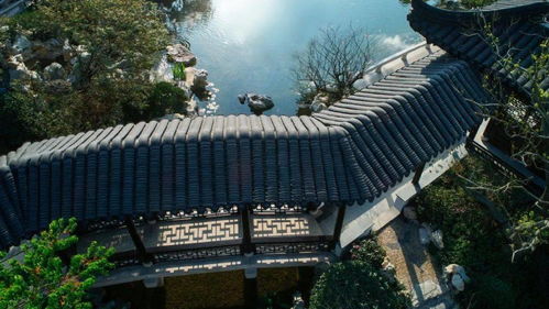 共建了不起的重庆,让城市成为我们心中的美好