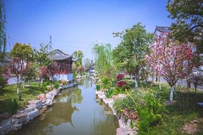 刚刚扬州桃花源逆势杀出,震撼全扬州!