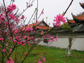 常德桃花源游记