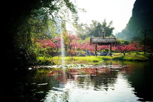 有时间一定要去这里看看