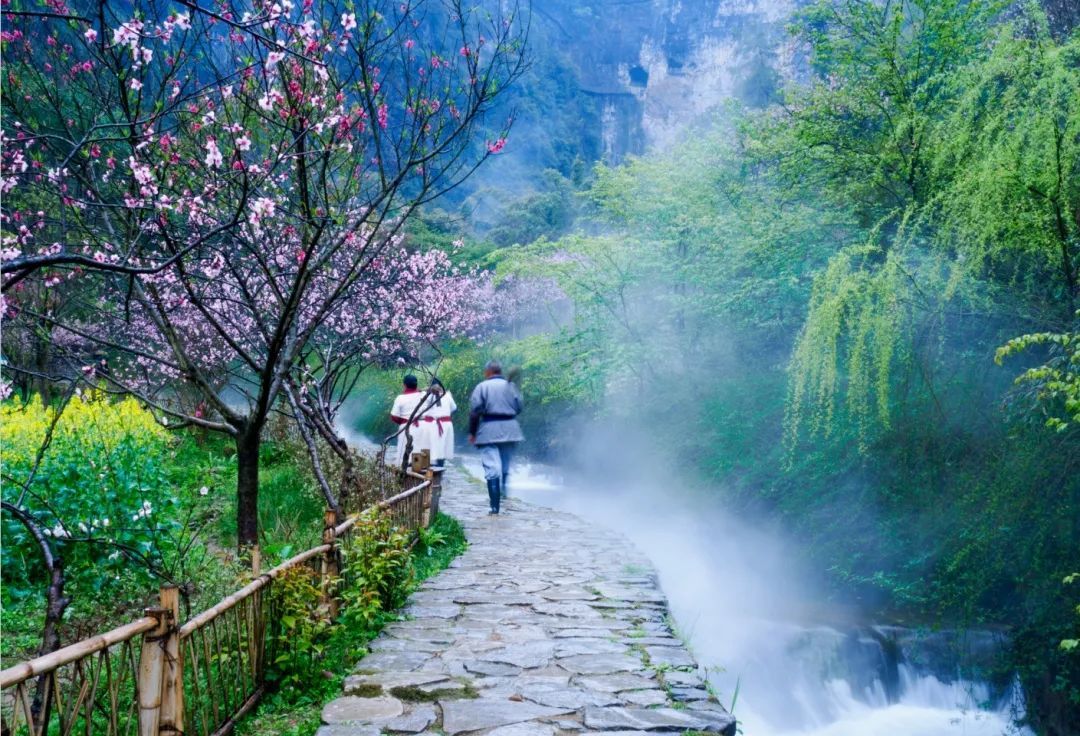 美文转载||酉阳桃花源:在简易世界里修行