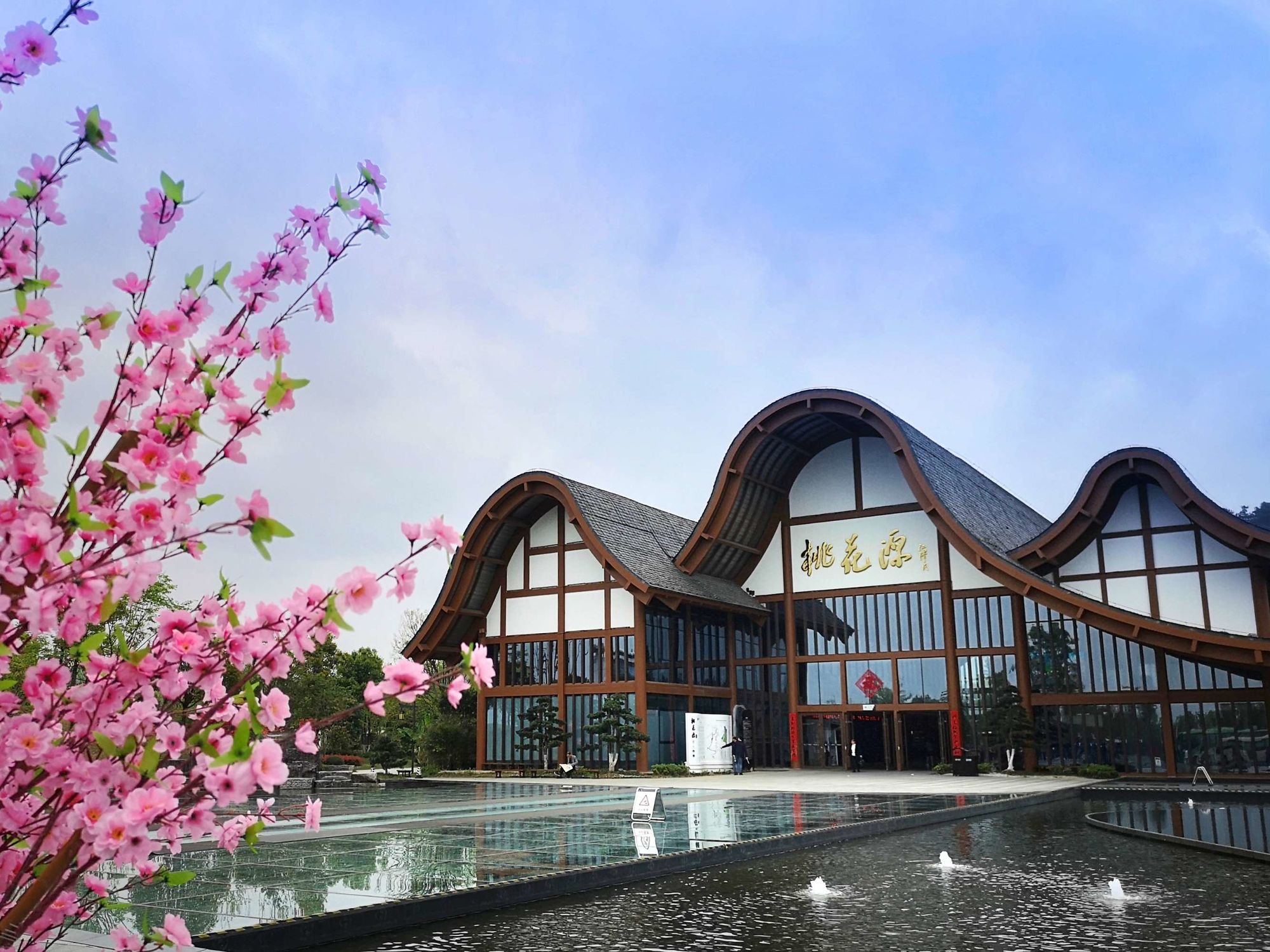 我的桃花源 2020