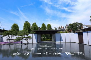 独家 王若雄 富贵也会限制你的想象