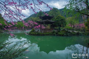 技术贴 你可能是去了假的桃花源 教你7招快速辨别酉阳真假秘境