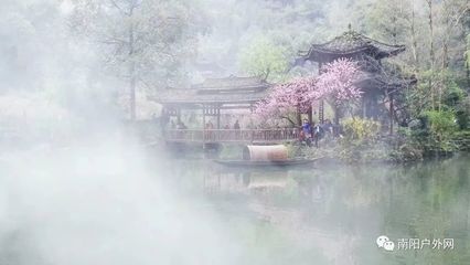 南阳直飞航班!深度重庆,打卡十大网红地,酉阳桃花,武隆奇观,全程四星级酒店