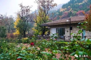 藏在深山的意大利小镇 北方最大的银杏林 京郊神泉,北京的秋天原来还能这么玩