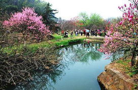 2013求转运 中国风水好的五个城市