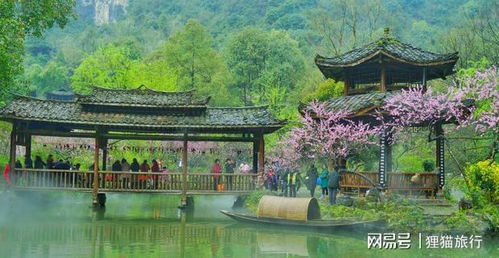 桃花源的原型 重庆酉阳,美的有些不真实,小众而精致