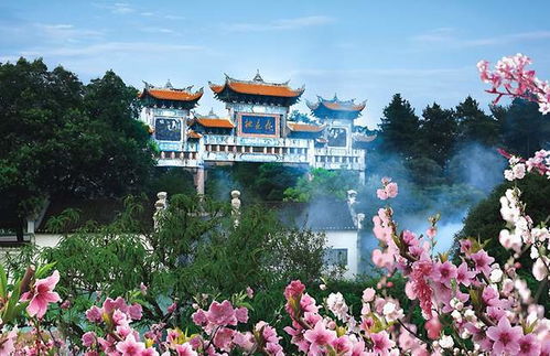 读徐叶子的 常德大观 四言诗