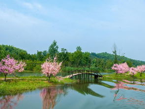 桃源桃花源攻略,桃花源门票 游玩攻略 地址 图片 门票价格