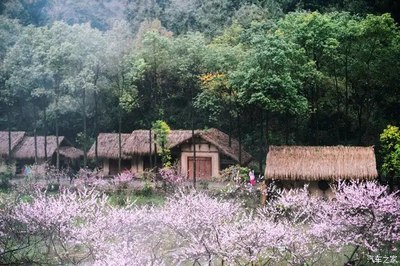重庆酉阳唯一的5A景区,专家称这是真正的“桃花源”
