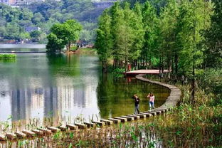 重庆藏在主城的湿地公园,占地约1605亩,被誉为主城的桃花源