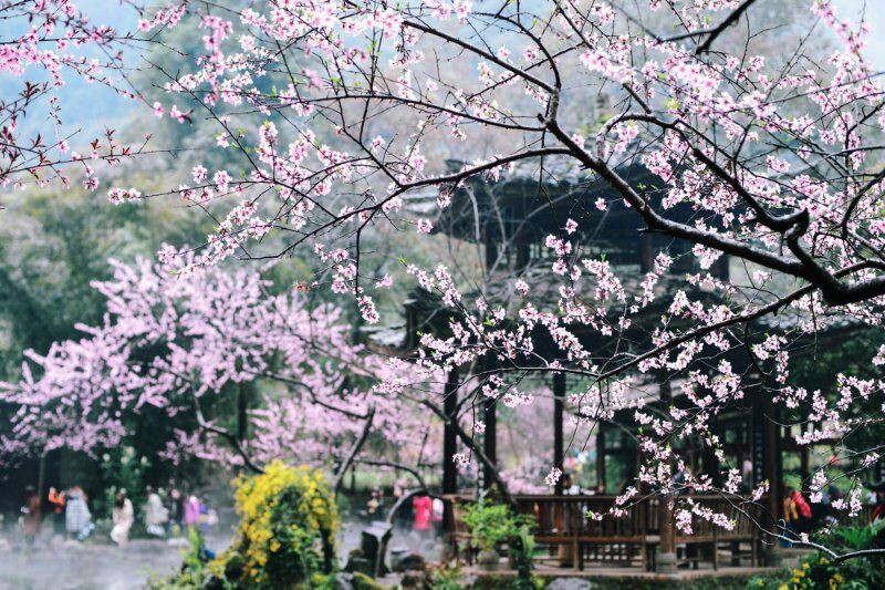 心·泊乌江 情·醉桃花源 梦·憩龚滩 环酉五省市新媒体齐聚酉阳采风