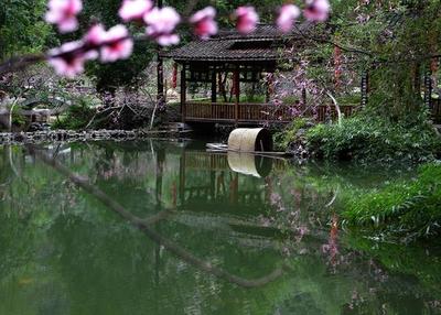 追寻那尘世间的桃花源(原创散文)