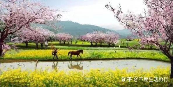 常德|走进桃花源,体验向往的生活