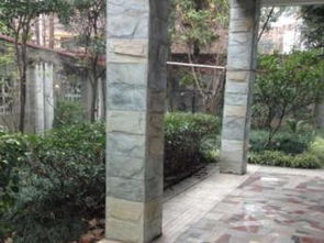 图 地铁口东站旁桃花源大量独栋联排双拼别墅便宜出租出售 成都租房