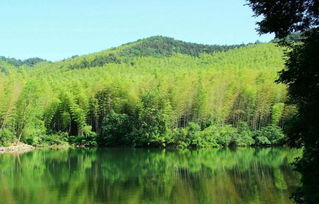 藏在南京山水处 如诗如画的桃源