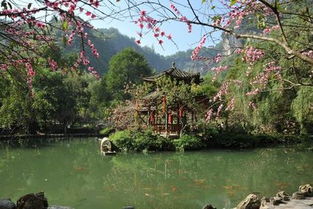 酉阳桃花源自驾2日游 宿酉阳怡豪国际大酒店普标1晚