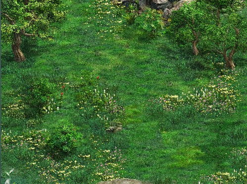 征途2 桃花源寻宝 风雪佩 这个地图能在哪里完成 坐标是