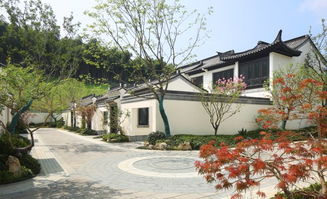 融创玖溪桃花源：以合院定义城市精英生活