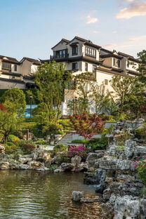 离不开的桃花源