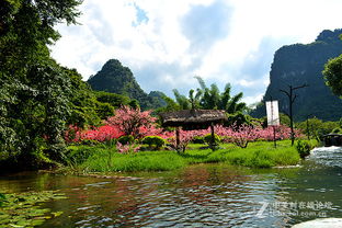 探秘广西阳朔桃花源 隐逸山水间的诗意栖居