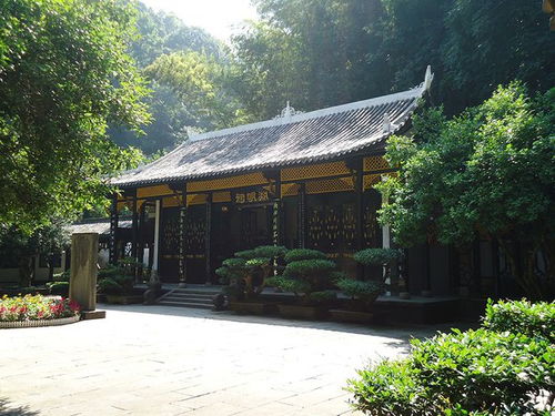 春游常德桃花源：寻访世外桃源的春日画卷