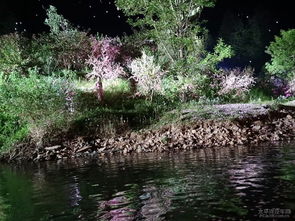 常德避暑之旅三 桃花源记——追寻世外桃源的清凉梦境