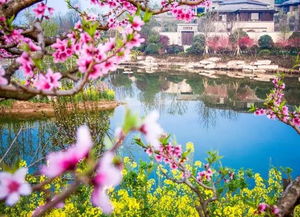 徐州月亮湾桃花源里 圆梦之居的桃花源