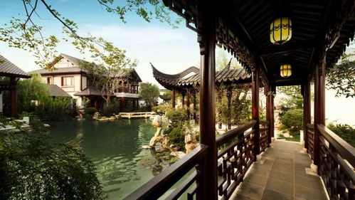 当产品内卷成为常态，绿城桃花源何以定义顶豪新境界