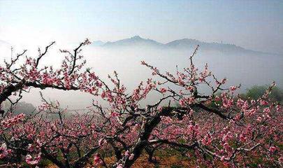 人间仙境桃花源