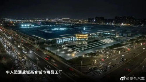 高合之殇 当“桃花源”崩塌于盛世门前